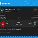 Owner ticket: NYJ Jets -5.5 Spread, lost
