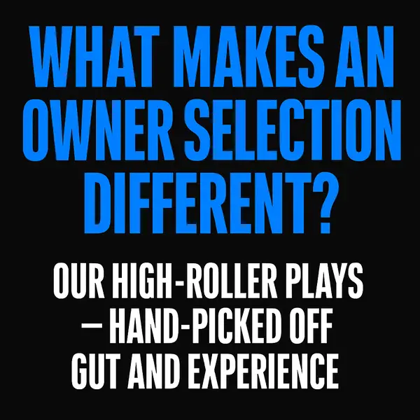 What Makes an Owner Selection Different?
